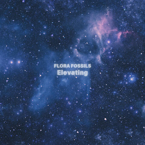 Elevating album art
