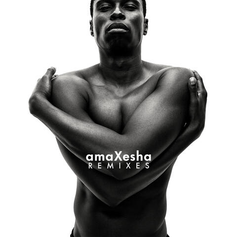 amaXesha REMIXES album art