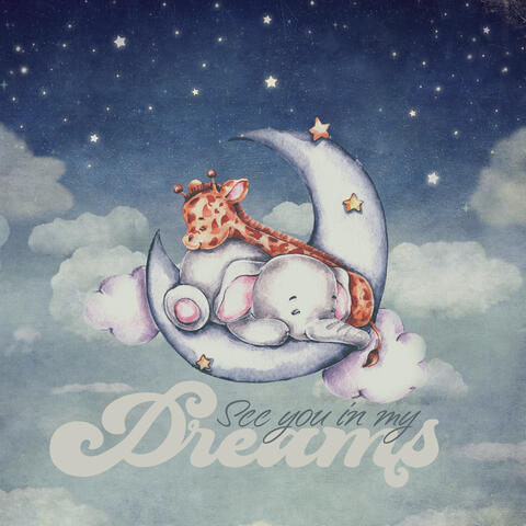 See You in My Dreams album art