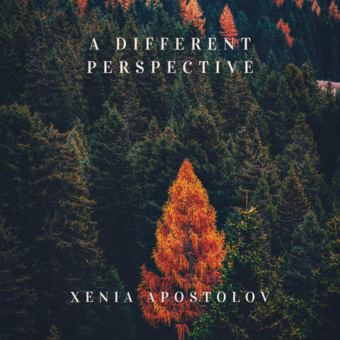 A Different Perspective album art