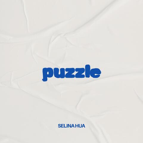 Puzzle album art