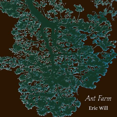 Ant Farm album art