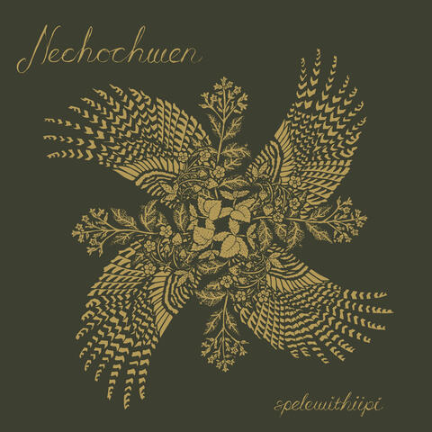 spelewithiipi album art