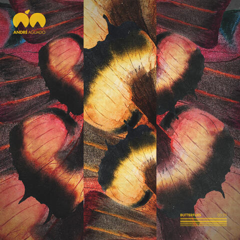 Butterflies album art