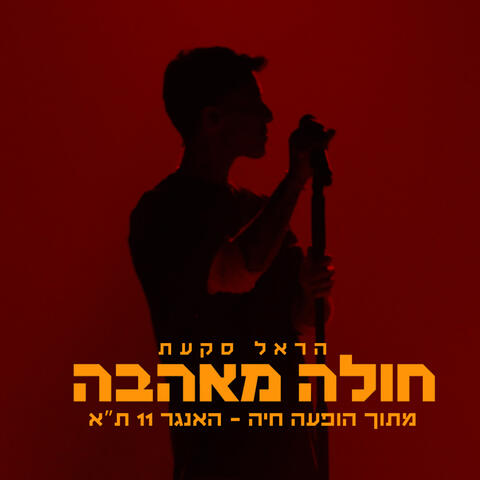 חולה מאהבה album art