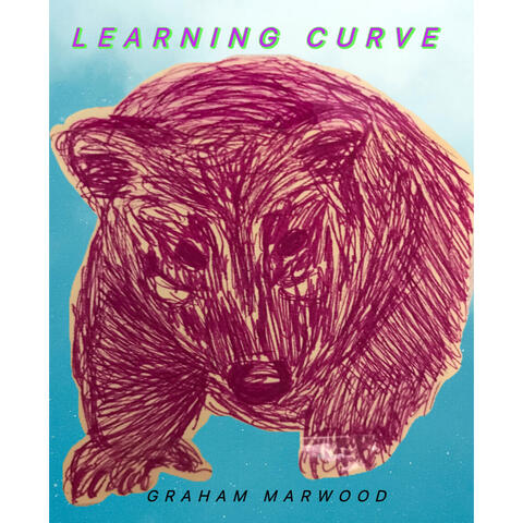 Learning Curve album art