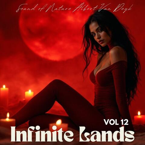 Infinite Lands, Vol. 12 album art