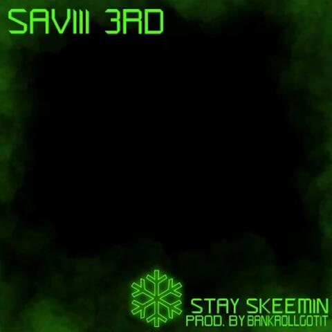 Stay Skeemin album art