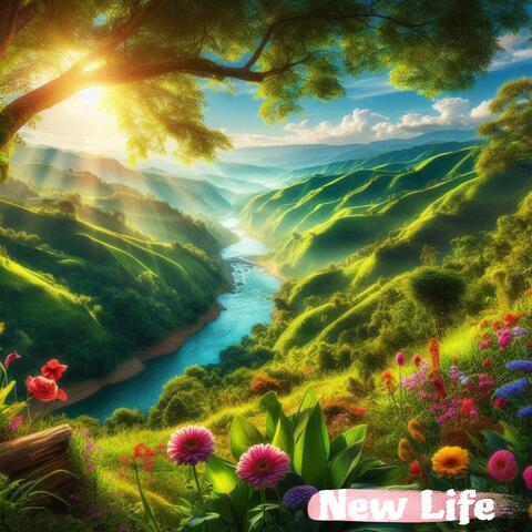 New Life album art