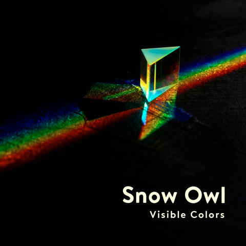Visible Colors album art