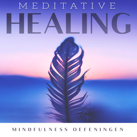 Meditative Healing album art