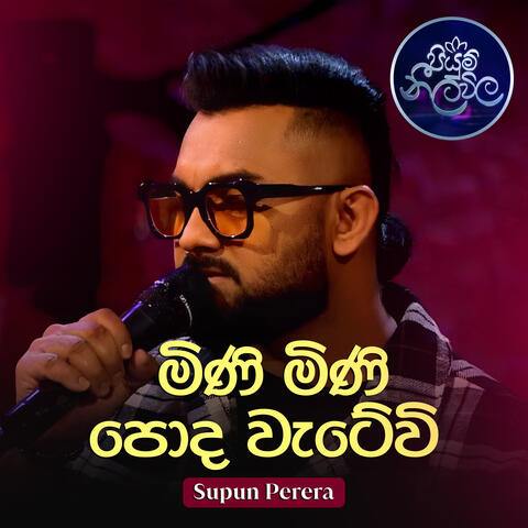 Mini Mini Poda Watevi album art