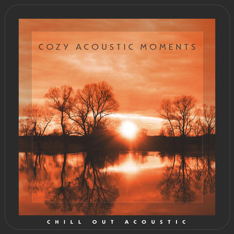 Cozy Acoustic Moments album art