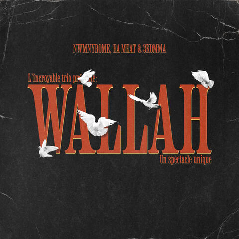 Wallah album art