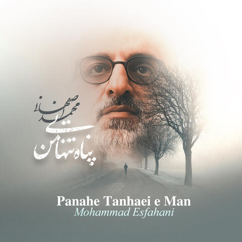 Panahe Tanhaei e Man album art