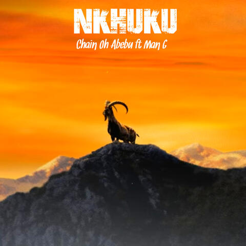Nkhuku album art