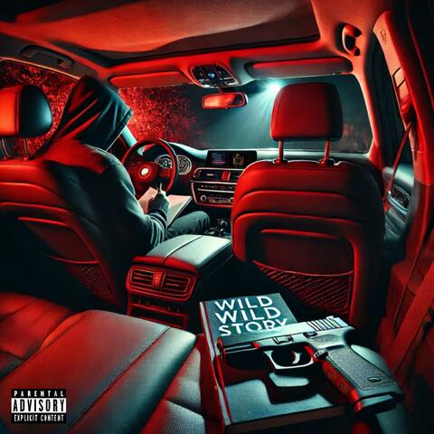 WILDWILDSTORY PT 1 album art