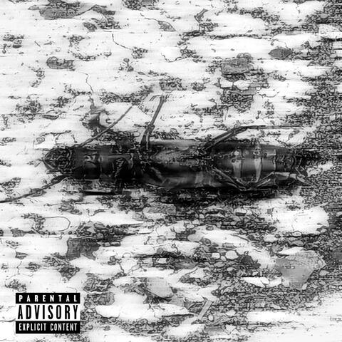 Oscuridad album art