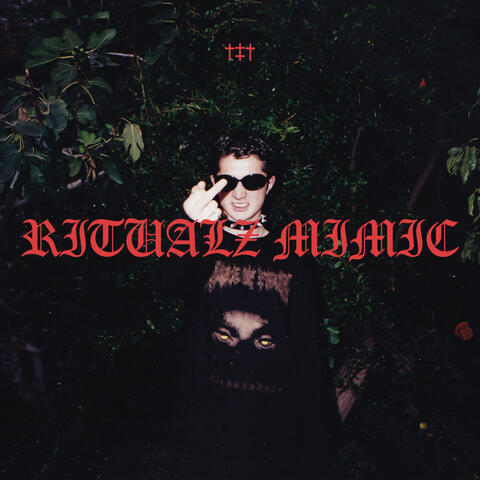 MIMIC album art