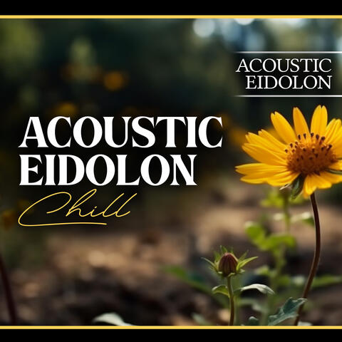 Acoustic Eidolon Chill album art