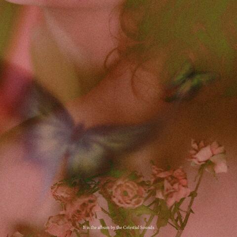 High Wave album art