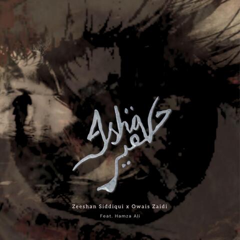 Ishq e Haqeer album art