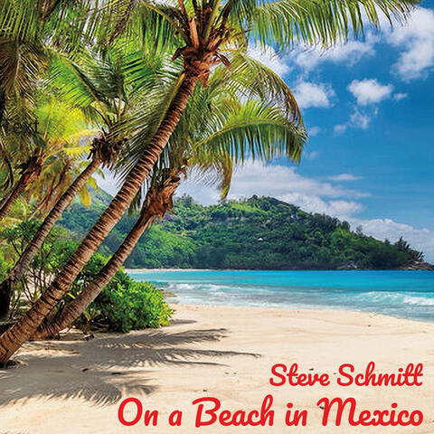 On a Beach in Mexico album art
