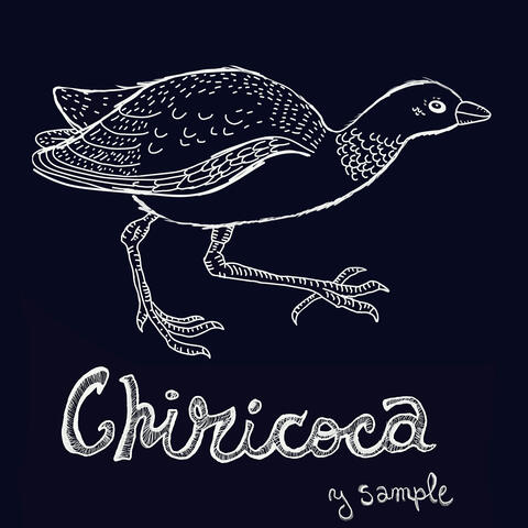 Chiricoca y Sample album art