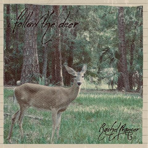 i follow the deer album art