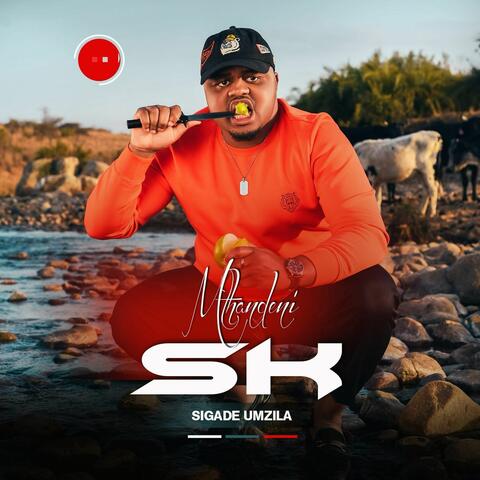 Sigade Umzila album art