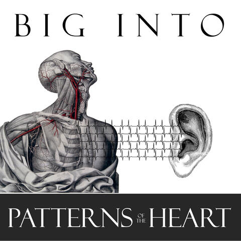 Patterns of the Heart album art
