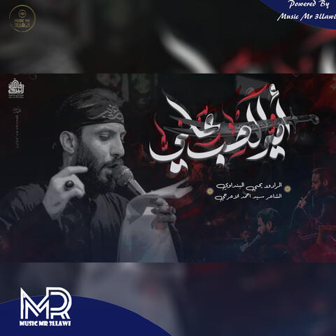 امير الحب علي album art