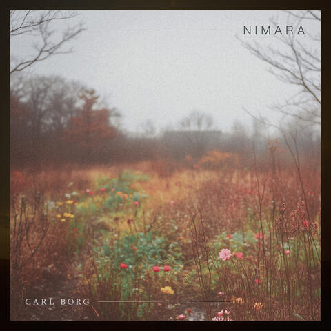 Nimara album art