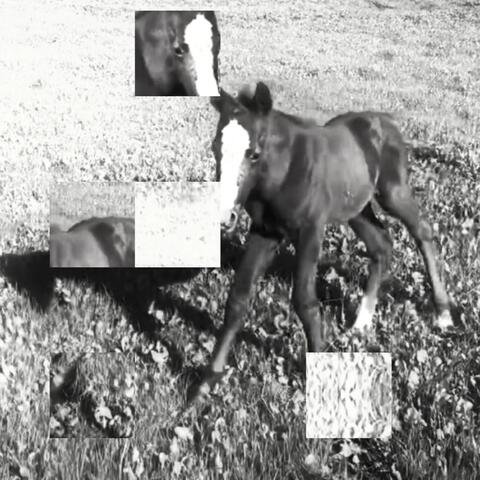Tulsa II album art