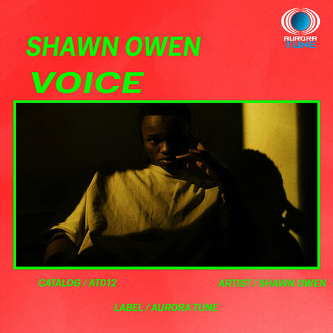 Cracking Voice album art