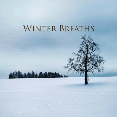 Winter Breaths album art