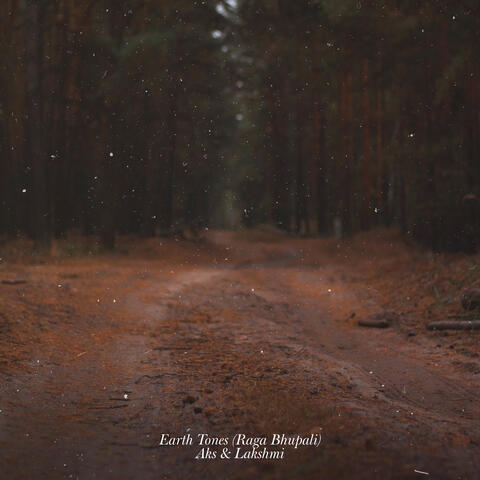 Earth Tones (Raga Bhupali) album art