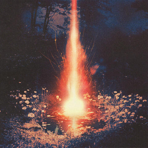 Bloom In Heaven album art