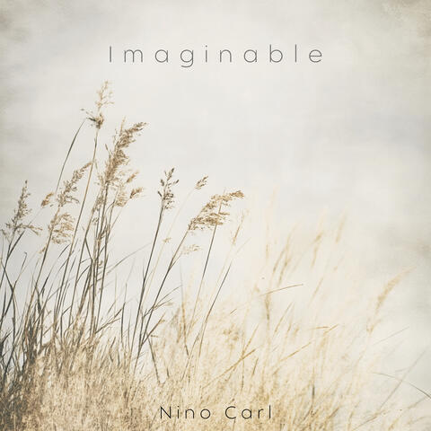 Imaginable album art