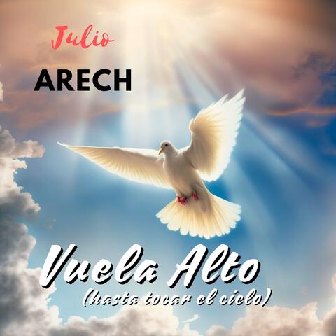 Vuela alto hasta tocar el cielo album art