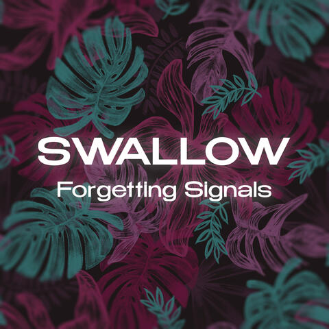 Forgetting Signals album art