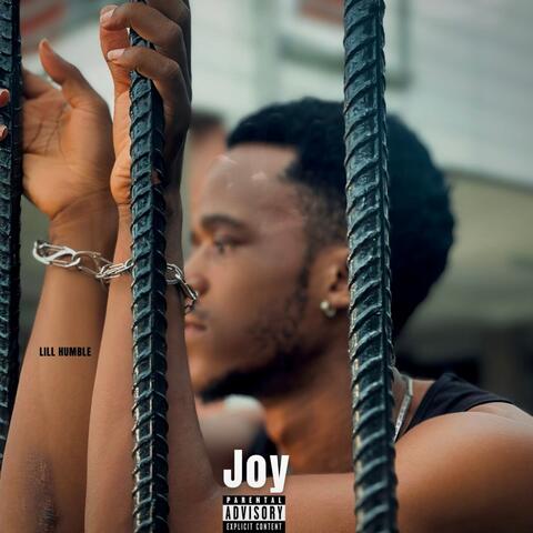 Joy album art