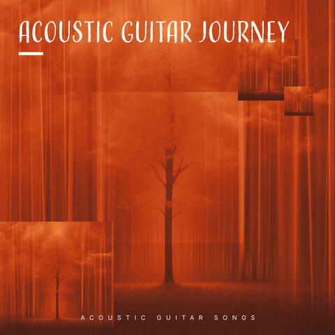 Acoustic Guitar Journey album art
