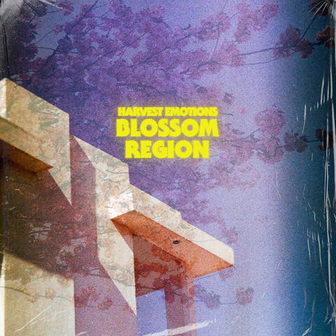 Blossom Region album art
