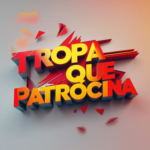 Tropa que Patrocina album art