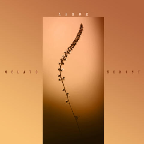 Arbor album art
