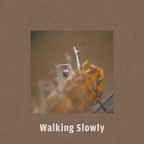 Walking Slowly album art
