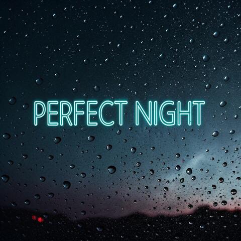 Perfect Night album art