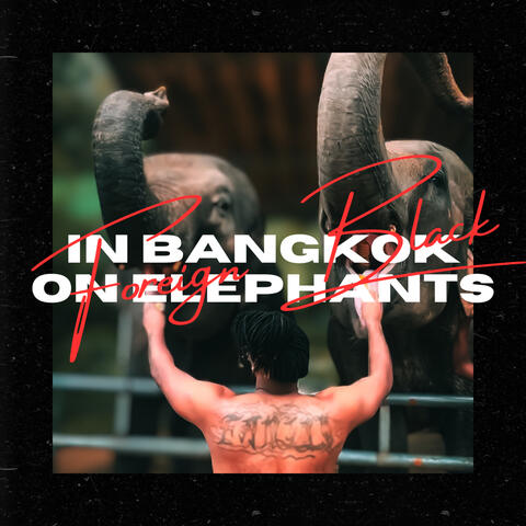 In Bangkok on Elephants album art