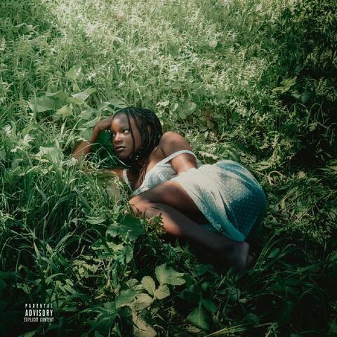 toes in the grass album art